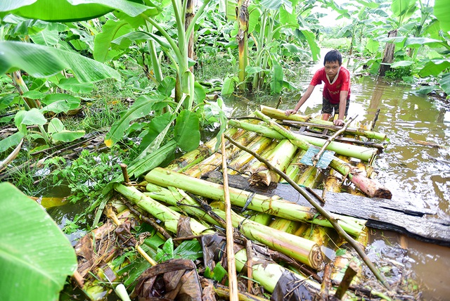  Lương đẩy bè qua chỗ nước nông đi đón mẹ. Em chia sẻ, cũng khá sợ do bè chuối mong manh nhưng vẫn phải cố gắng để phụ giúp gia đình. 