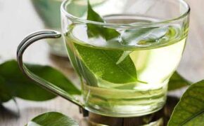 Khi nào chúng ta nên uống nước trà xanh?