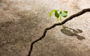 Đừng phí thời gian thay đổi 6 việc sau