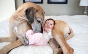 Những bức ảnh chỉ người có con nhỏ mới thấu hiểu được