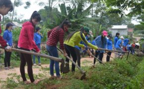 Mùa Hè xanh giàu ý nghĩa của SV tình nguyện ĐH Nông Lâm Thái Nguyên