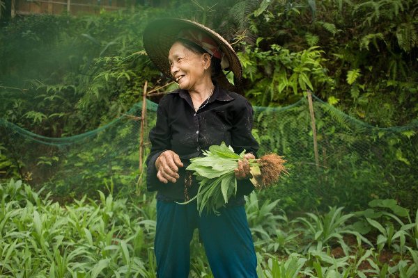 Cuộc sống người dân tộc Tày trong mắt du khách nước ngoài - 8