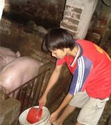 Đương đầu với bạo bệnh Peutz-Jegher