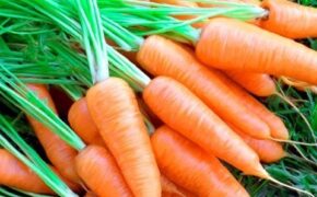 Sai lầm cần tuyệt đối tránh khi ăn cà rốt