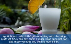 Tác dụng tuyệt vời của sắn dây bạn nên biết