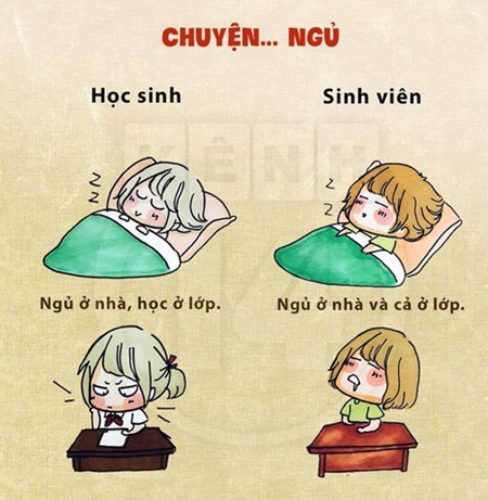 Học sinh ngủ ở nhà và học ở lớp, còn sinh viên thì ngủ ở cả hai nơi