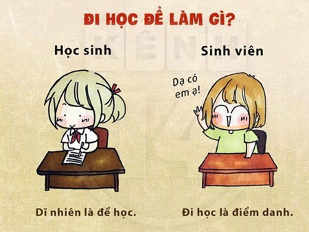 Học sinh đi học để có kiến thức đi thi, còn sinh viên đi học chỉ để giơ tay và hô có