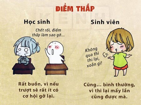 9 điều khác biệt giữa học sinh và sinh viên