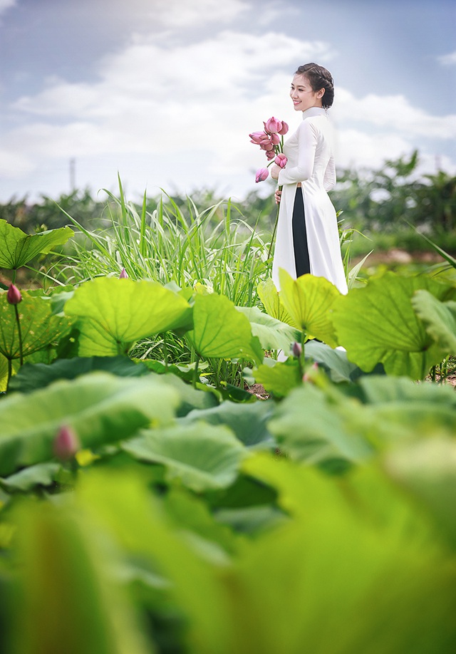 Cô gái này cùng với ê-kíp nhiếp ảnh lặn lội về tận Duy Tiên, Hà Nam để thăm đầm sen đang vào mùa hé nụ.