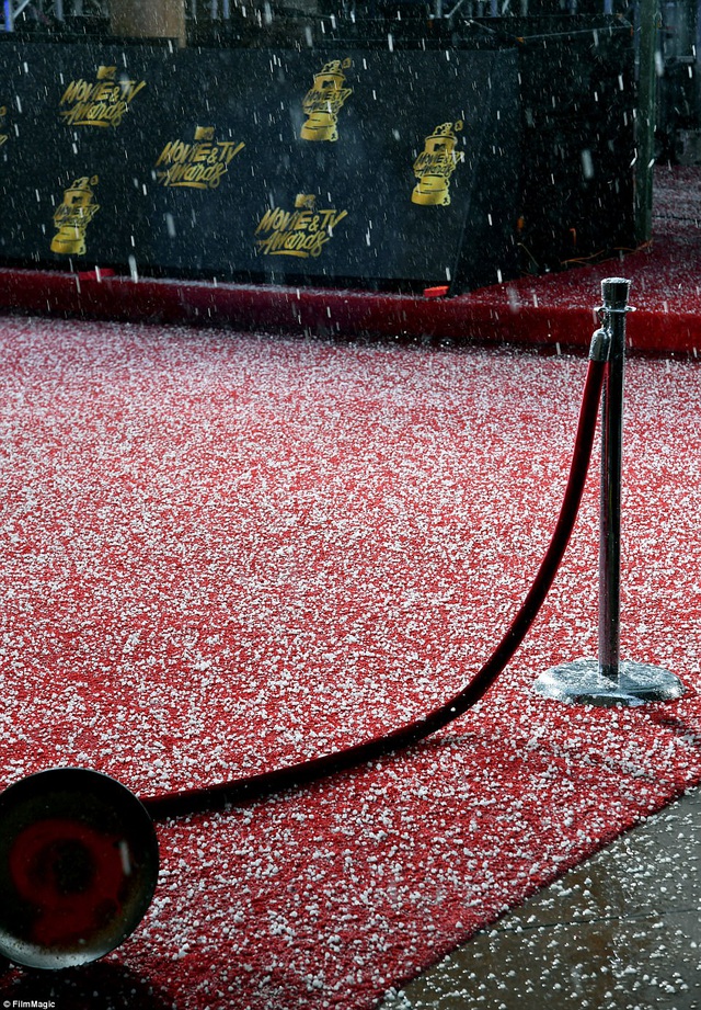  Những hạt mưa đá li ti rơi đầy thảm đỏ lễ trao giải. 