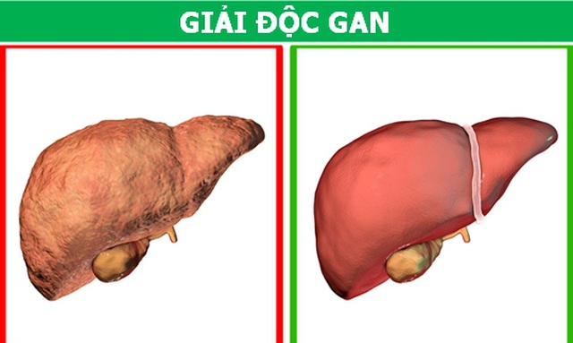 Lợi ích thần kỳ khi cho thêm một muỗng tinh bột nghệ vào sữa - 1