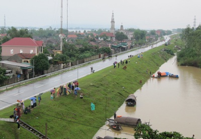 Khi sinh viên “xung trận” mùa lũ  - 1