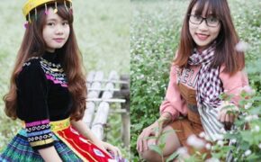 Thiếu nữ khoe sắc bên hoa tam giác mạch giữa Thủ đô