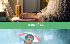 Bộ ảnh vui “Người ta nghĩ…, nhưng thực tế là…”