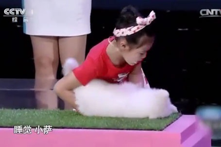 Kinh ngạc khả năng thôi miên động vật của bé gái