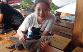 Độc đáo thú chơi bò sát bạc triệu của giới trẻ tại Buôn Ma Thuột