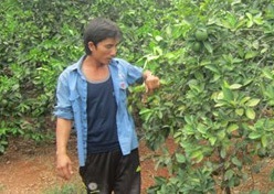 Tỷ phú vùng đồi