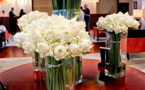 Điểm dừng chân tiếp theo của thí sinh Vietnam’s Next Top Model