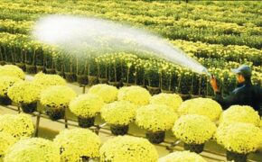 Cảnh sát thành phố Cao Lãnh tuần tra bằng xe đạp