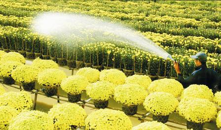 Cảnh sát thành phố Cao Lãnh tuần tra bằng xe đạp