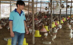 Chàng thanh niên lầm lỗi “viết” lại cuộc đời trên mảnh đất quê hương