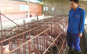 Những ông chủ trẻ khởi nghiệp từ nghề nông