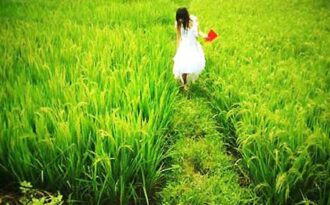 Tình yêu trở lại nơi con tim ích kỷ…