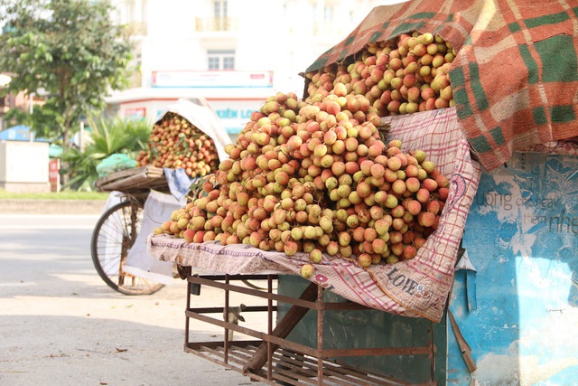 Dù mới đầu mùa nhưng tại nhiều nơi, vải được chào bán với giá khá rẻ.