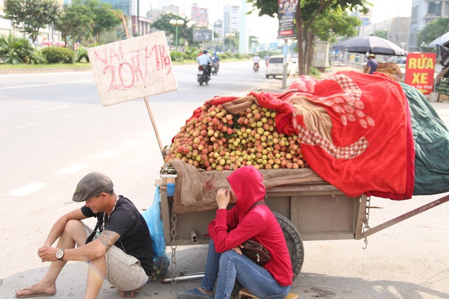 Vải thiều siêu rẻ giá 6.000 đồng/kg, phải đổ bỏ: Đâu là sự thật? - 3