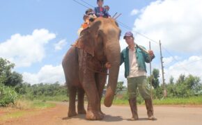 Con voi nhà cuối cùng của người M’Nông