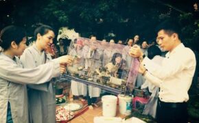 Vu Lan về trong con là nỗi nhớ