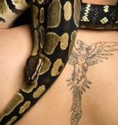 Thú xăm chỗ… kín