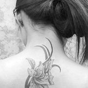 Trả giá cho một thú chơi