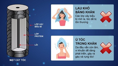 Tóc khỏe là tóc đẹp! - 1