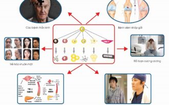 Tọa đàm “Các biện pháp phòng chống Ung thư và bệnh tim mạch – Thành tựu trong Y tế dự phòng Nhật Bản”