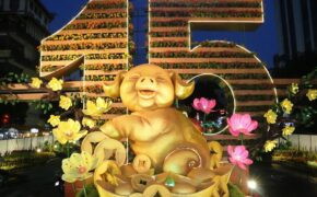 Ngắm đường hoa Cần Thơ trước ngày khai mạc