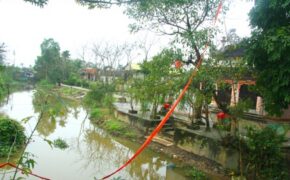 Ngắm vẻ đẹp cây nêu ngày Tết ở làng quê Huế