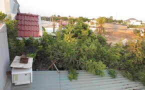 Ảnh dự thi số 3: Xanh mát vườn cây ăn trái giữa thành phố