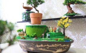 Hình dáng độc lạ, bon sai “bay lơ lửng” hút khách chơi Tết