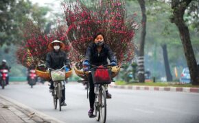 Thú chơi hoa đào rằm tháng Giêng độc đáo của người Hà Nội