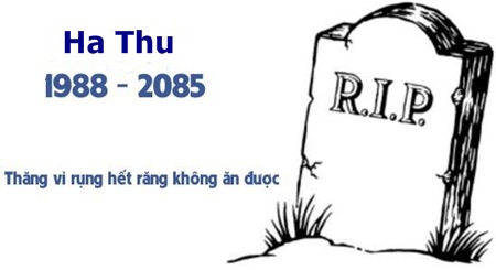 Cư dân mạng ồ ạt thử... chết - 2