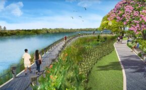 Sài Gòn sắp có công viên Hoa Anh Đào