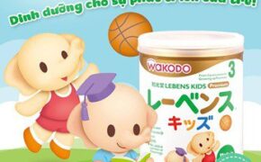 Mẹ Việt có đang “thần thánh hoá” sữa Nhật?