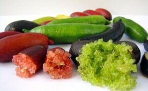 Đồ ăn “vàng ròng”, nhà giàu Việt chơi sang bậc nhất thế giới