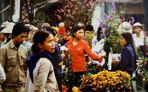 Tiền bị mối ăn, mẹ nghèo khóc ròng vì mất Tết