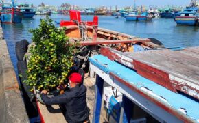 Những chuyến tàu vượt biển “chở Tết” ra đảo tiền tiêu