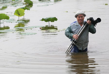 Tò mò tới thăm triển lãm ảnh hoa sen