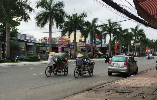 Những chiếc xe chiều, có phần thảnh thơi hơn vì trời tối không thể thu mua được nữa