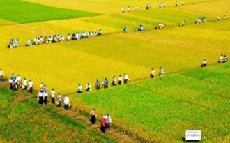 Công bố kết quả cuộc thi ảnh “Tây Nam Bộ 10 năm thành tựu và phát triển”