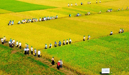 Công bố kết quả cuộc thi ảnh “Tây Nam Bộ 10 năm thành tựu và phát triển”